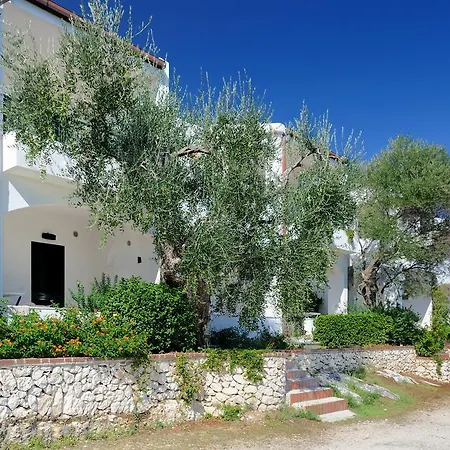 منتزه العطل Baia Degli Aranci &