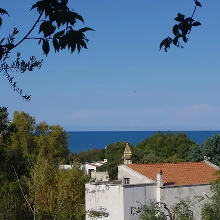 Baia Degli Aranci &
