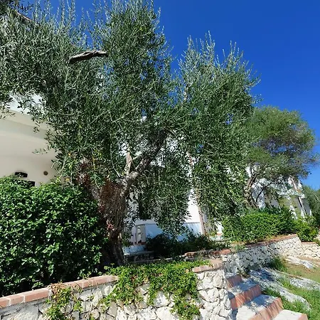 Baia Degli Aranci & 4* فيستَ