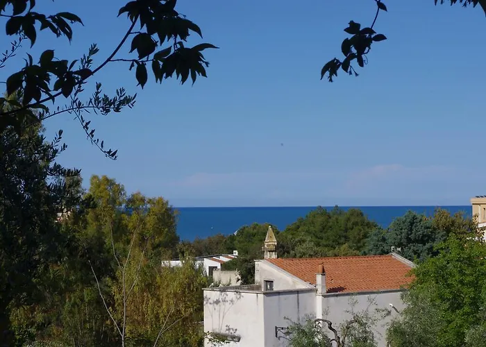 Baia Degli Aranci &