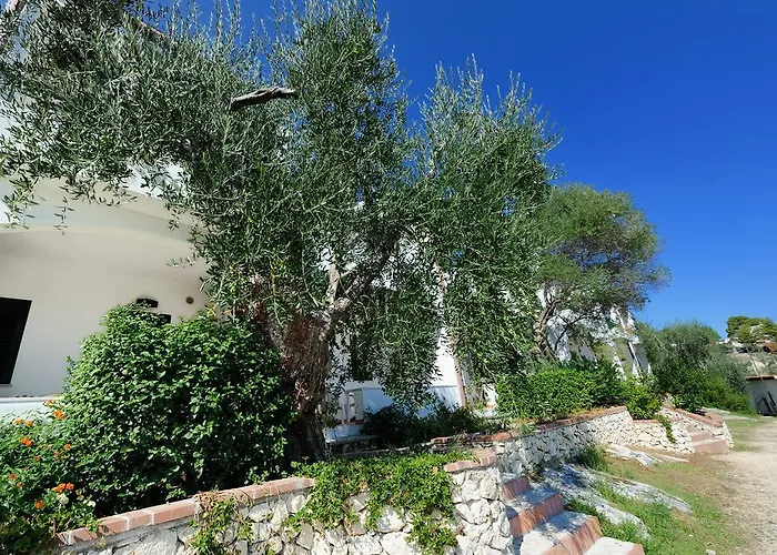 Baia Degli Aranci & 4* Vieste