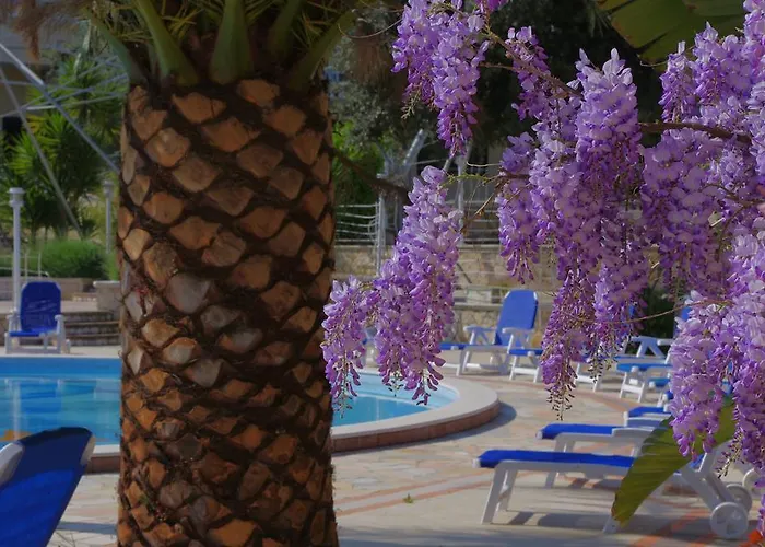 Baia Degli Aranci & 4*