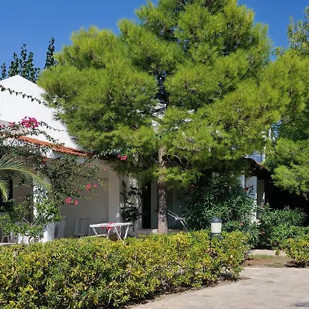 拜亚德利阿布鲁阿兰奇野营村酒店 维耶斯泰