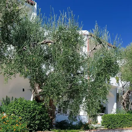 Parco vacanze Baia Degli Aranci Village 4*