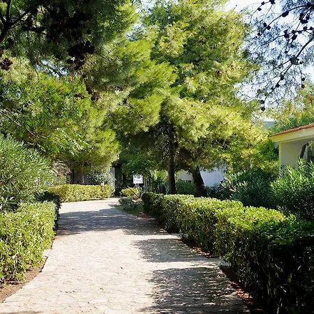 Baia Degli Aranci Village 4*